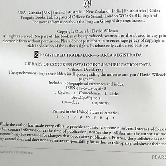 The Synchronicity Key hardcover book David Wilcox - Picture 9 of 12